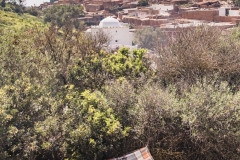MOROCCO-PILGRIMAGE-REGRAGA-MOUSSEM