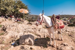 MOROCCO-PILGRIMAGE-REGRAGA-MOUSSEM